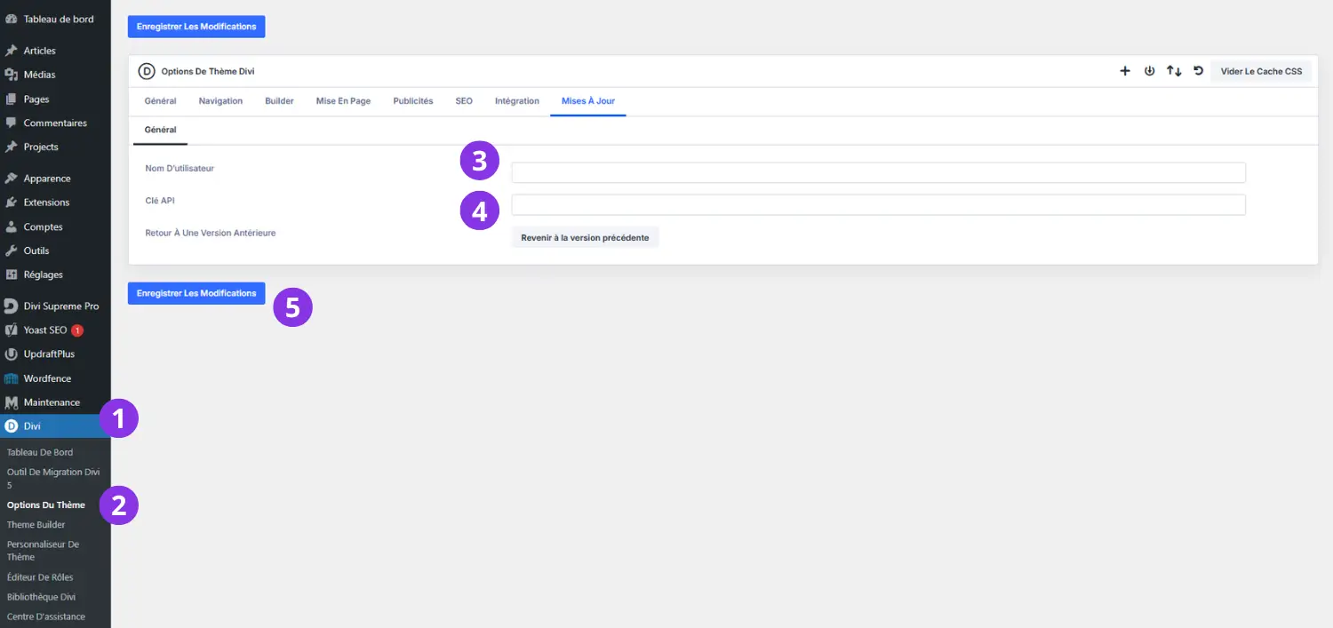 cle-api-mise-a-jour Options de Divi pour les mises à jour